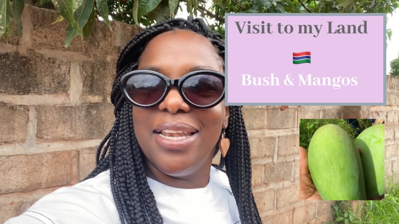 Посетил свой участок в Гамбии и показал вам больше вариантов участков