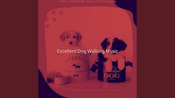 Pulsating Backdrops for Walking with Doggy