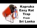 Kapruka Easy Rat Trap From Sri Lanka - Made From Recycled Garbage. Mousetrap Monday