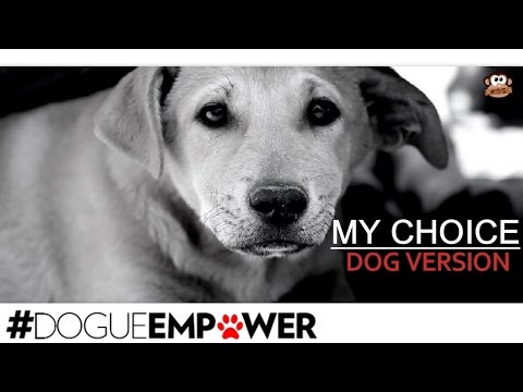 My Choice :Dog version | DOGUE EMPOWER | FreeDumb of Speech