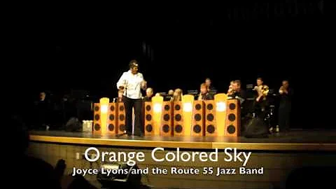Joyce Lyons Orange Collored Sky