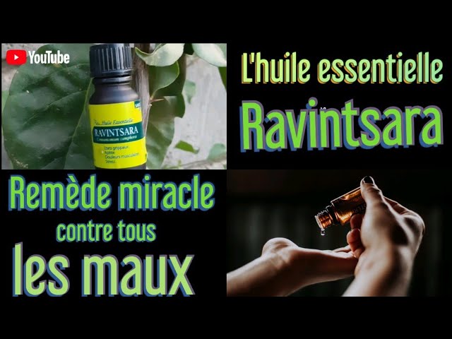 Menthe poivrée - Huile essentielle Homeopharma