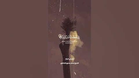 قران كريم ارح قلبك وسمعك @قران_في_دقيقة #قران_في_دقيقة #قران #quran#المنشاوي #المصحف #funny