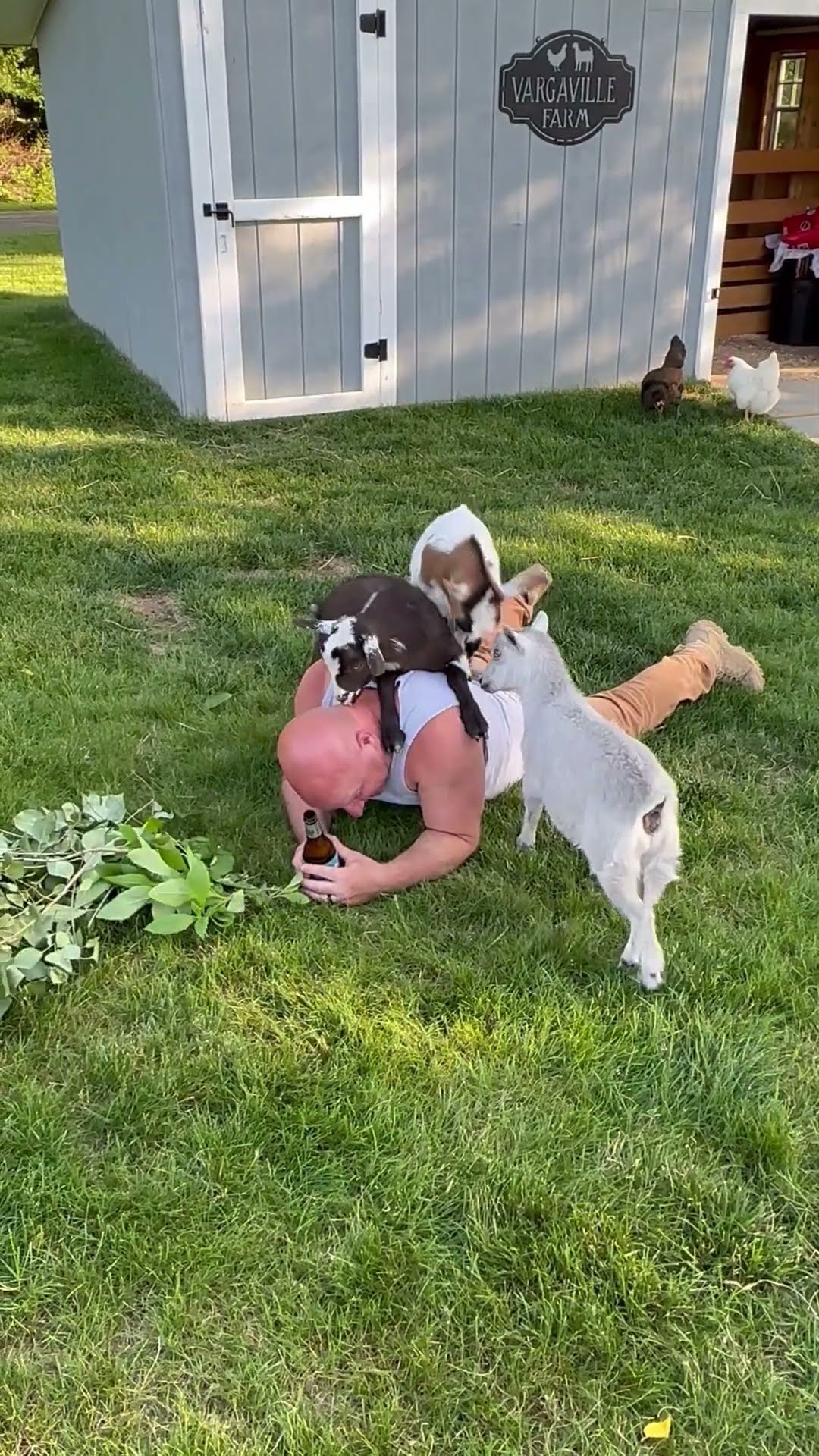 Goat Nibbles On Owner's Neck || ViralHog