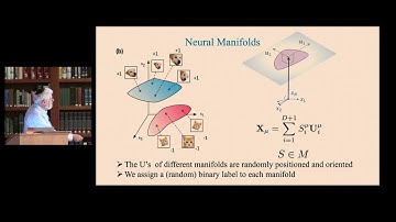 Haim Sompolinsky - DeepManifolds: Geometry of Computation in Deep Networks