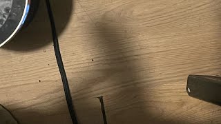 Solid Boy Posture For Maximum Rest