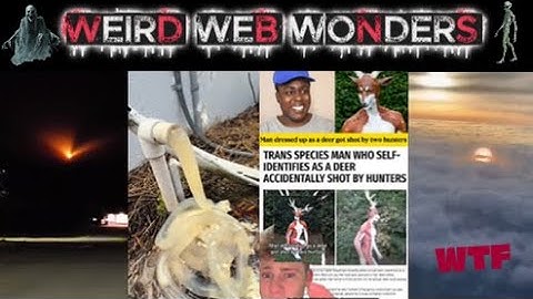 weird web wonders vol 65
