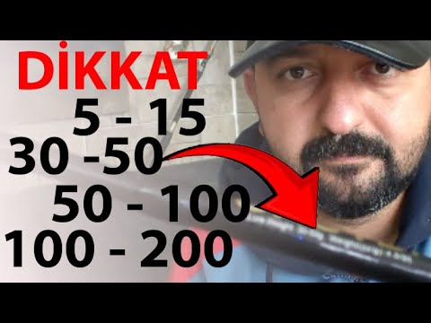 Olta Kamışı Seçerken