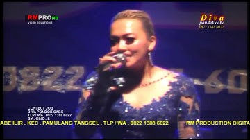 DIVA PONDOK CABE popy ananda (mawar putih)
