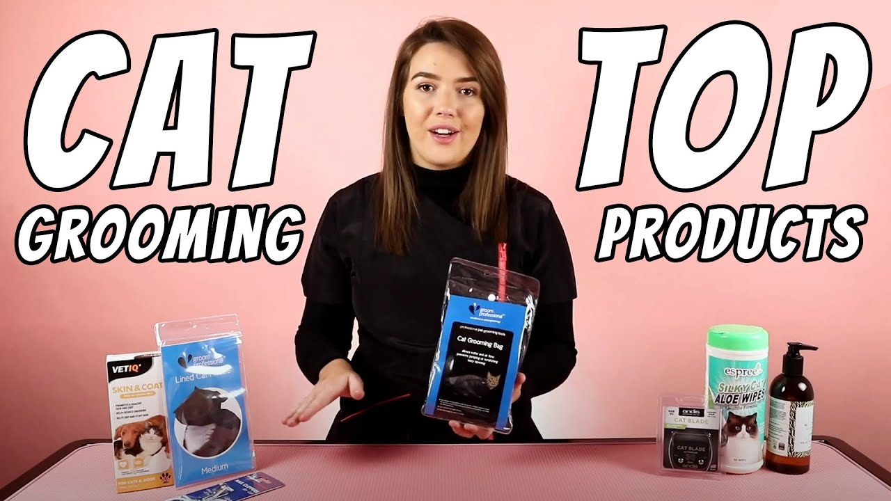 Must Have Top Cat Grooming Products for 2020 YouTube