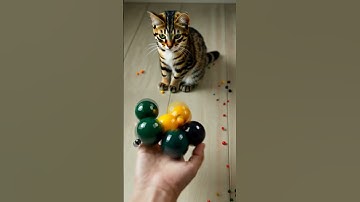 🐱🔴 Reverse Video 📿 Slow motion🐌 #reverse