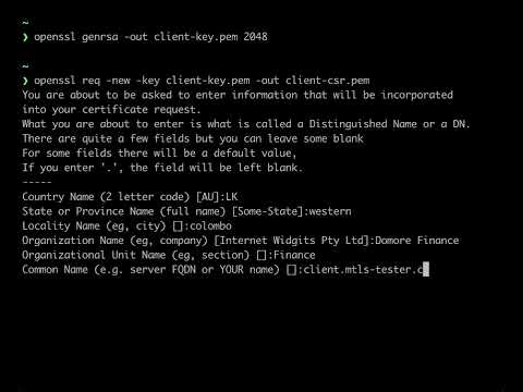 Exploring  Mutual TLS (mTLS) : Generate Client Certificates