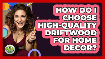 How Do I Choose High-quality Driftwood For Home Decor? - The Upcycle Lab