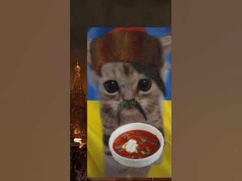 Москва горить Український кіт танцює #україна #українськийютуб # ...