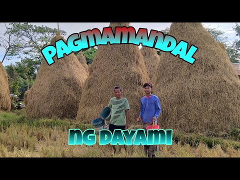 Video: Paano Gumawa Ng Isang Canvas Ng Dayami