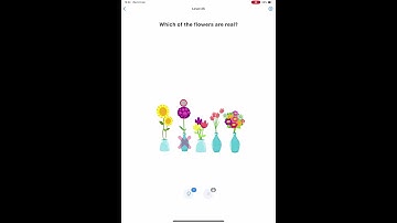 Easy Game - Brain Test Level 25 - Which of the flowers are real?
