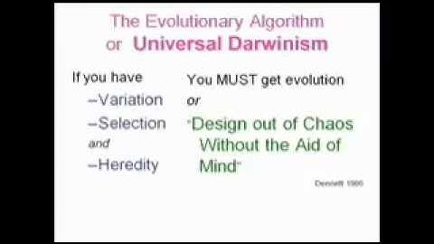 Evolution Algorithm