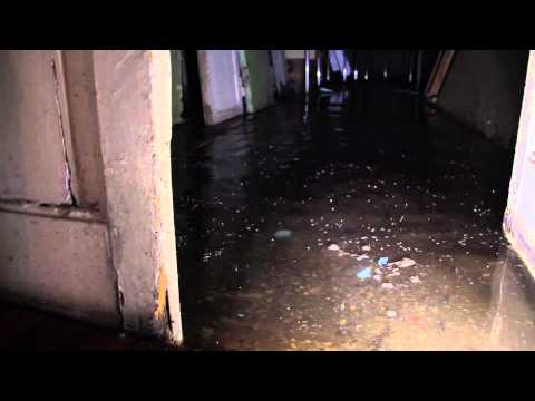 ჩვენ ვუკრავთ თქვენთვის!...