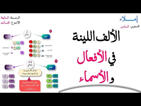 إملاء الألف اللينة في الأفعال والأسماء