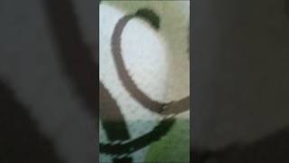 Download Lagu mksh bang ya 😆👏😎 MP3