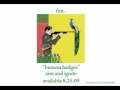 fun. - Benson Hedges [AUDIO]