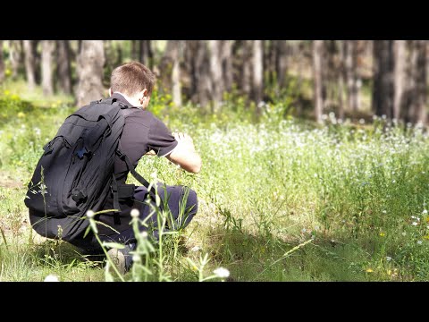 Поездка в локацию