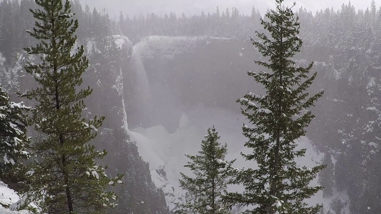 Shadow Cowboy          Spirit in thisguy