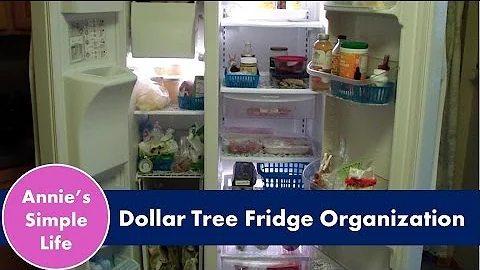 Dollar Tree Fridge Organization - Thanksgiving Prep Collab