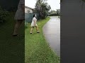 rabbit in the rain