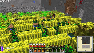 Teaching with Mr Phicksur - Farming with Xychlorium Soil and Lilypads of Fertility