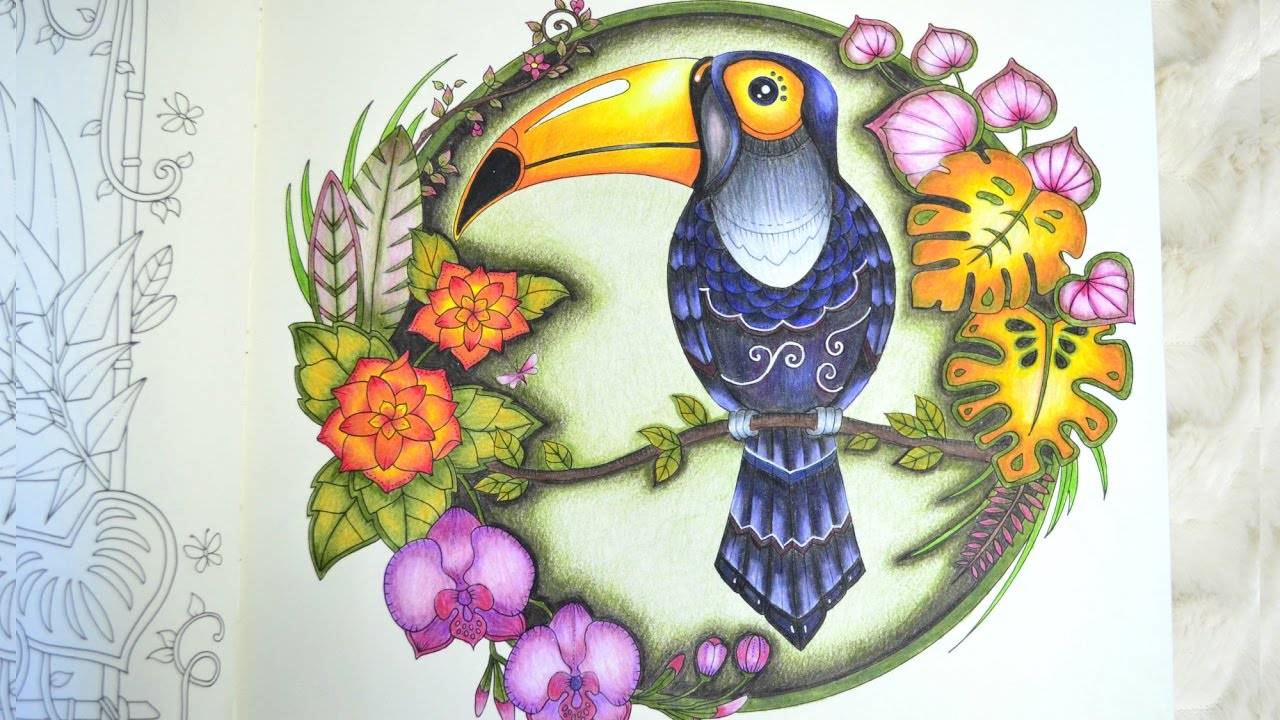 Selva Mágica - Tucano - Magical Jungle