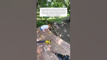 making treehouse #shorts #viral #trending #makingtreehouse #treehouse #making #interiordesign