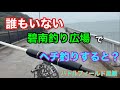 誰もいない碧南釣り広場でヘチ釣りすると？碧南海釣り公園 温排水