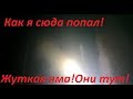 Жуткий Омут!Здесь живут большие СОМы!Подводное видео!