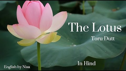 Poem The Lotus by Toru Dutt in Hindi