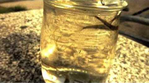 Thumbnail of Passage West. John Spillane & Mick Flannery