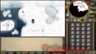 RS Money Making Guide | Polar Kebbits | 450-550k an Hour