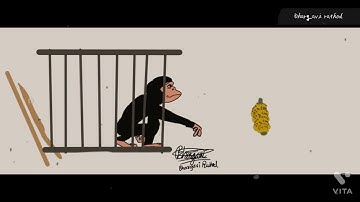 std 12 psychology ch 2 animation video