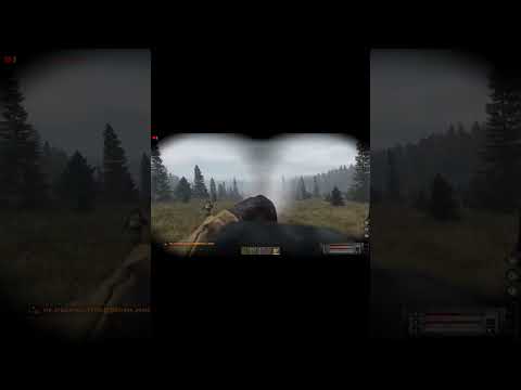 Догоняжки Stream Stalkerrp Ragnarekplay Dayz Eft Escapefromtarkov