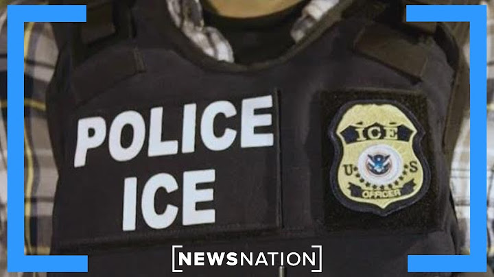 US may lose more immigrants than it gains in 2025: Report | NewsNation Now