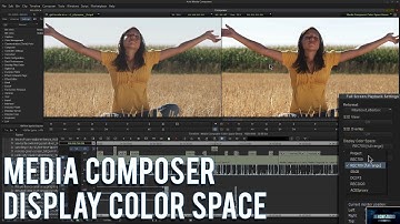 MEDIA COMPOSER | DISPLAY COLOR SPACE