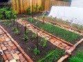 Огородные дела : сажаем помидоры,  сеем газон