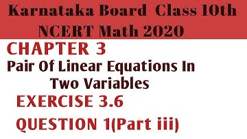 Pair of Linear equations| class 10 Chapter 3 Exercise 3.6 Q 1(Part iii)|Karnataka Board NCERT Math