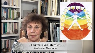 S2E3 - Les Incisives Laterales Par Michèle Caffin