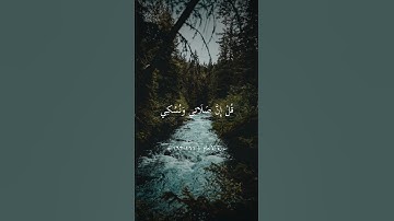 قُلْ إِنَّنِي هَدَانِي رَبِّي || ماهر المعيقلي || تلاوة خاشعة ارح سمعك