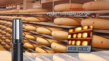 HygroClip2 Humidity and Temperature Probe