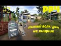Путь новичка в Русской рыбалке 4. 2 Серия. Осваиваем донные снасти