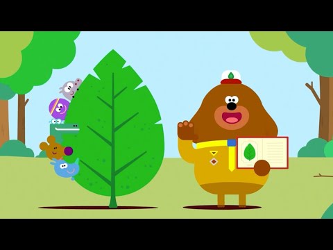 Campeggio con i piccoli lupi | Maratona di divertimento estivo | Hey Duggee Italiano