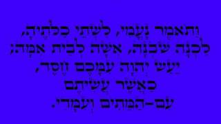 מגילת רות פרק א' - בשפה ארמית כורדית