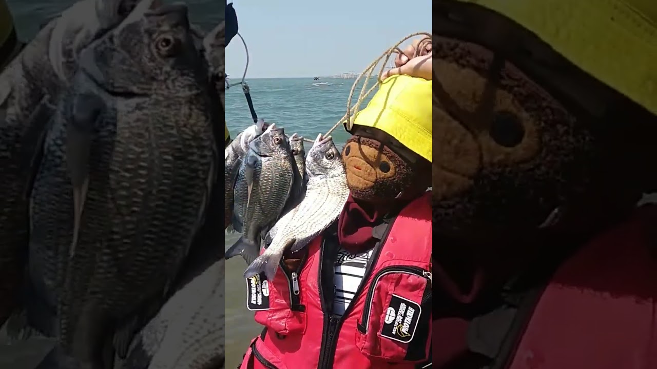 mancing di dam merah semarang 